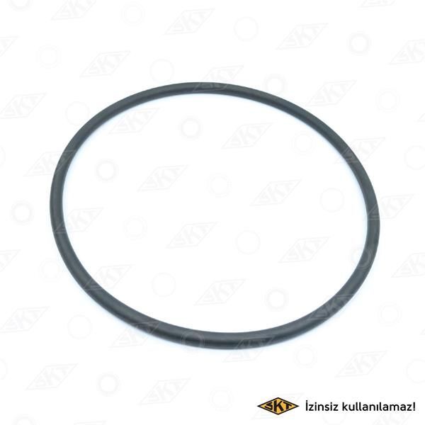 SKT ŞANZUMAN ARKA KAPK KEÇESİ R9-R11 1.4-1.7-R19 1.8-1.9D-R21 1.7-CLIO SYM 1.4 -MGN 1.6-2.0 154X6.25 (6001543158)