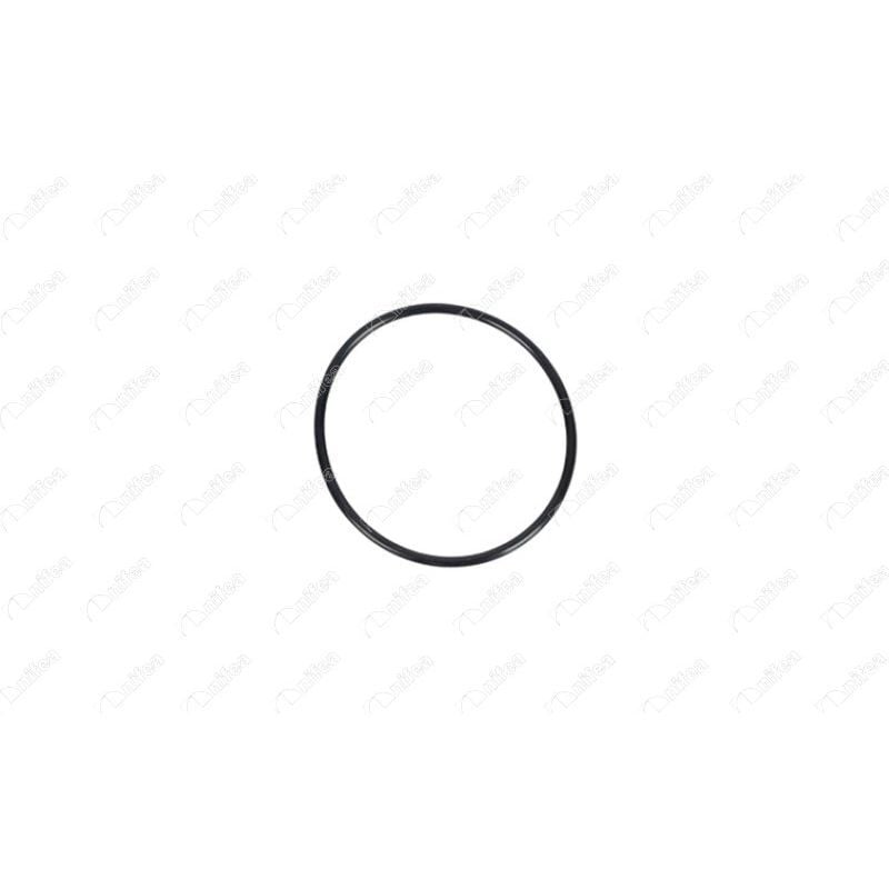 IBRAS YAKIT POMPA CONTASI VECTRA B 1.6-1.8-2.0 96-02 (1254286)