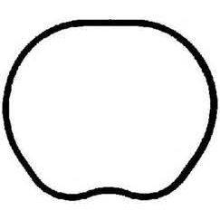 ROYAL EMME MANİFOLD TK CONTASI FOCUS II 1.6 16V 03-07 - 07 > 100HP SİLİKON VOLVO S40 1.6 V50 C30 (2S6G9441CA)