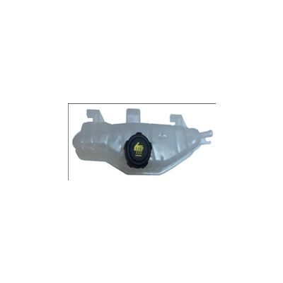 BIRLIK GENLEŞME KAVONOZU KAPAKLI FİLTRELİ CLIO III (7701477290)