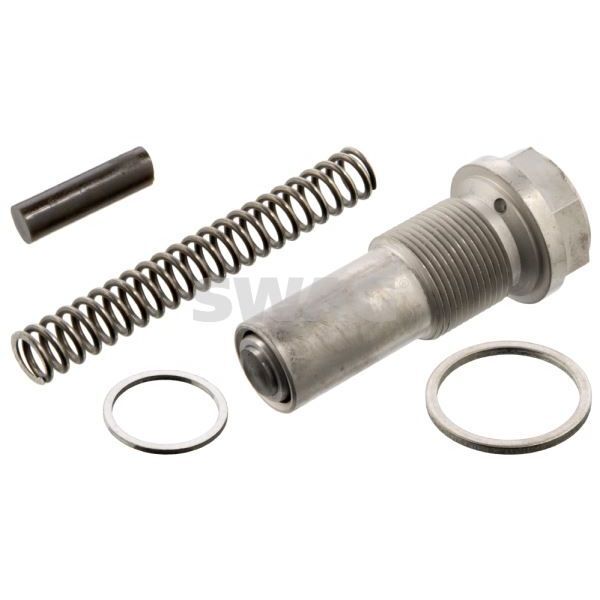 SWAG EKSANTRİK ZİNCİR GERGİSİ M111 (1110500411)