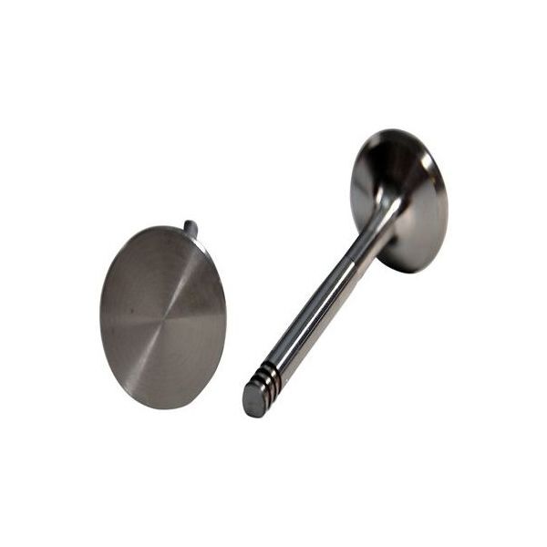 GUNES SUBAP TAKIMI VANOS BMW M50 M52 M54 E36 E34 E39 E46 E60 IN 12 EX 12 (11341738215)