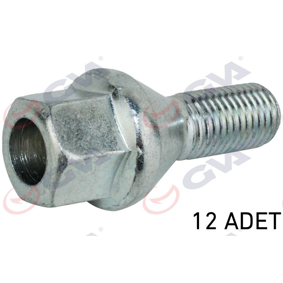 GVA BİJON CİVATASI RENAULT MEGANE-CLIO Y.M. DACIA DUSTER-LOGAN DELİKLİ TİP PAKET 12 (402222121R)