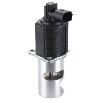 MAGNETI MARELLI EGR VALFİ RENAULT LAGUNA 96> MASTER 01> TRAFIC II 01> 2.2DCI 2.5DCI (8200088888)