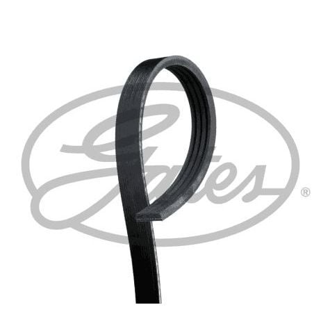 GATES KANALLI KAYIŞ TOYOTA YARIS 1.3 VVTI 16V 08/05 > 48382 (9091602556)