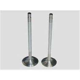 GUNES SUBAP EMME EGZOZ P106-P206-P307-P308-P405-PARTNER-BERLINGO-C2-C3-C4-XSARA 1.6 16V TU5J IN-8/EX-8 (0948.A9)