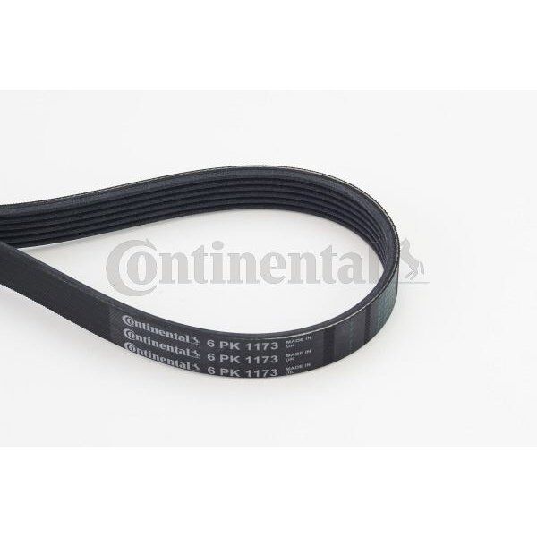 DAYCO KANALLI KAYIS AUDI-CITROEN-HONDA-INFINITI-NISSAN-PEUGEOT-RENAULT-TOYOTA-VOLVO (5750.TN)