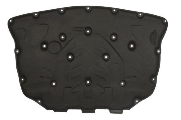 İthal Kaput Süngeri Ön F10 2011 16 (5148 6 989 301)