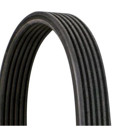 CONTINENTAL KAYIŞ ŞARZ GOLFIV,BORA 1.6 T5 1.9 TDİ AKL (06A260849)