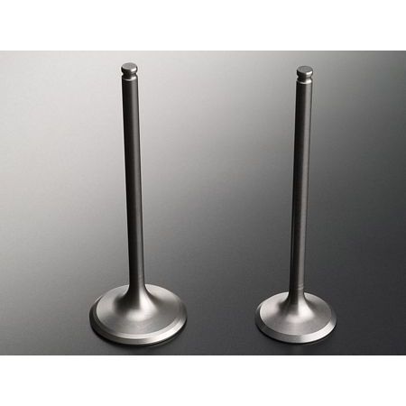 GUNES SUPAP TAKIMI HYUNDAI İ20 1.2L G4LA BENZİNLİ 08-> / İ10 1.2L G4LA 16V 08-> STELLİTLİ LPG LI ARAÇLAR IÇIN UYUMLU (2221103200)