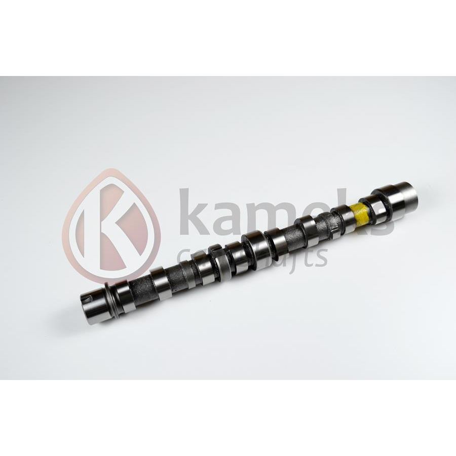 KAMEKS EKSANTRİK MİLİ EMME BIPPER 10> NEMO 10>DOBLO 10> EGEA 16> PUNTO 12> 500 L 12> 95BG 1.3 JTD EURO5 DÖKÜM (55206897)