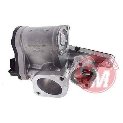 GUA EGR VALFİ RENAULT LAGUNA II-TRAFIC II VIVARO 1.9 (147106672R)