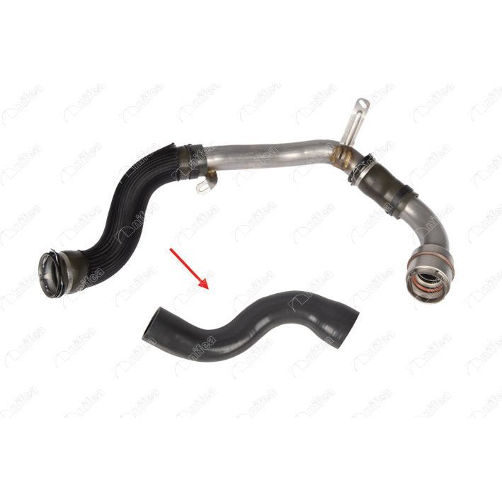 NIFEA TURBO HORTUMU UZUN METAL BORU HARİÇ MGN III-FLUENCE 1.5 DCİ 110HP 09 (144602487R)