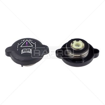RAPRO RADYATÖR KAPAĞI PARTNER-BERLINGO-P106-P306-P405-P406-EXPERT-JUMPY-SAXO-ZSARA-XANTIA-ZX (1306.65)