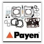 PAYEN ÜST TAKIM CONTA ALFA 145 1.6 1.8 146 1.6 1.8 156 1.6 97-05 1.8 97-00 GTV 1.8 98-05 SPIDER 1.8 98-05 (71711023)