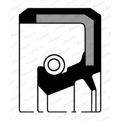 PAYEN KRANK KAPAK KEÇESİ R12-R9-R11-R19 1.6 (3277158)