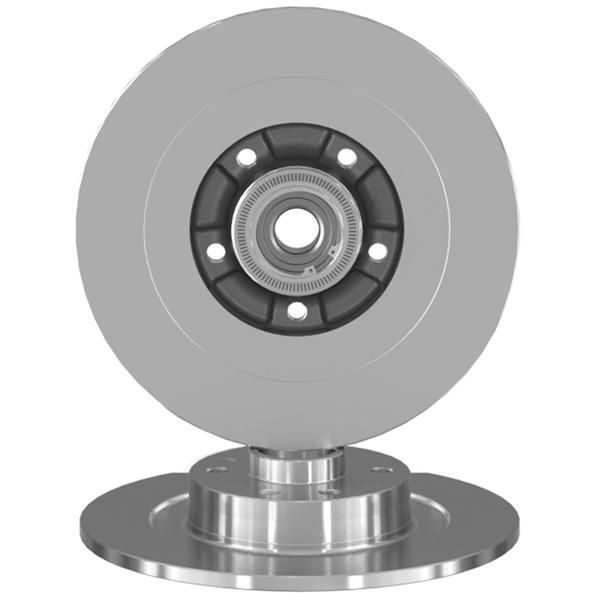 AYD ARKA FREN AYNASI RENAULT LAGUNA III 07 15 LATITUDE 11 300X11X9.5X5DELİK RULMANLI ABS SENSÖRLÜ (402020003R)