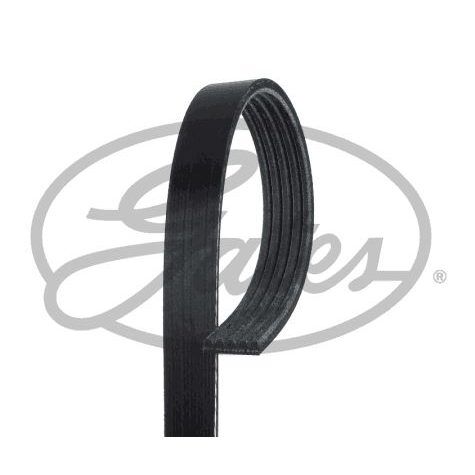 GATES V KAYIŞ 5PK 868 FORD FOCUS-C MAX 04> 1.6 Tİ-VCT ELASTİK (30650846)