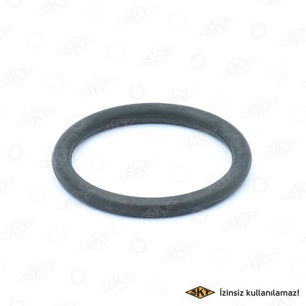 SKT ŞANZ. KLM ÇIKIŞ MİLİ KEÇESİ RENAULT 12 TOROS (855779500)