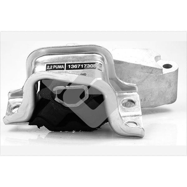 HUTCHINSON MOTOR TAKOZU YENİ DUCATO-BOXER-JUMPER 2.2 D 06 (1367173080)