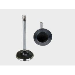 GUNES SUBAP EMME EGZOZ NISSAN MICRA 1.2-1.4 16V CR12DE-CR14DE IN-8/EX-8 (13201BC000)