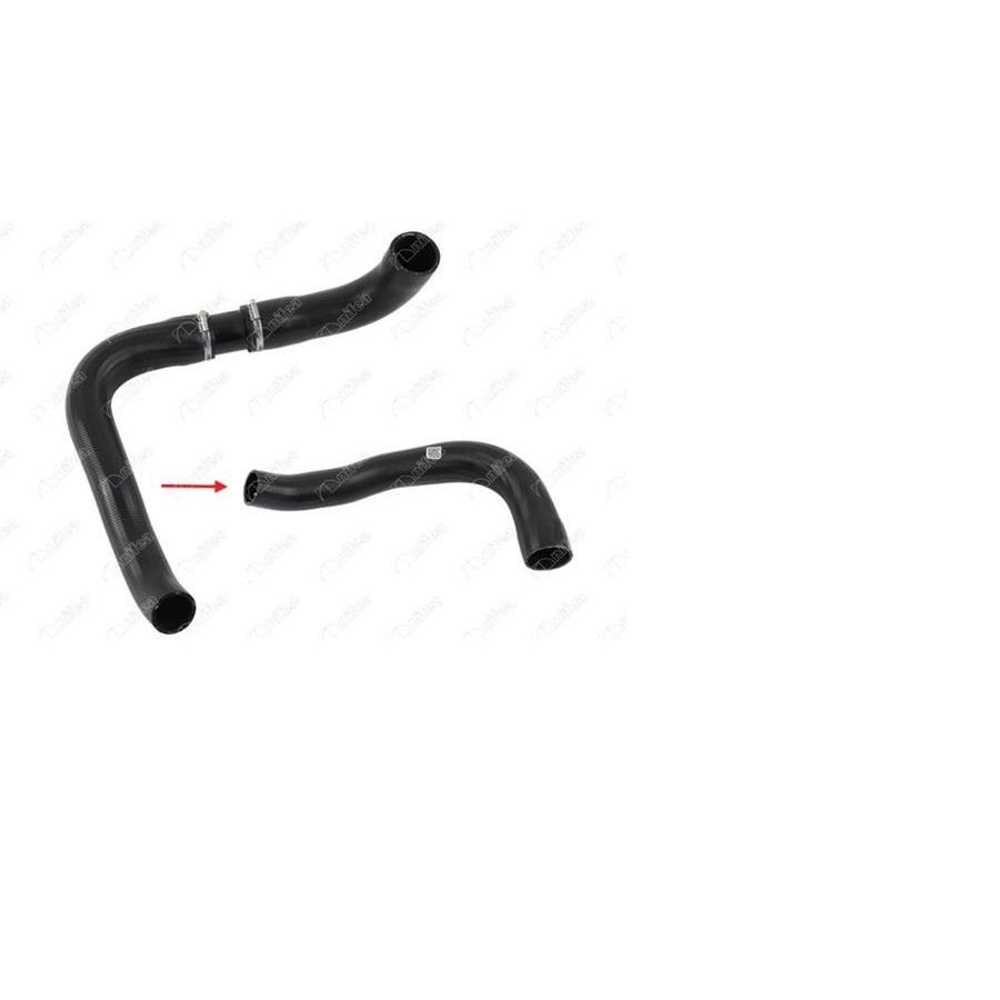 IBRAS INTERCOOLER HORTUM BÜYÜK PLASTİK PARÇA HARİÇ FORD TRANSİT T350 V184 (1C156C646AJ)